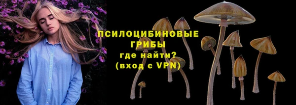 PSILOCYBIN Елизово