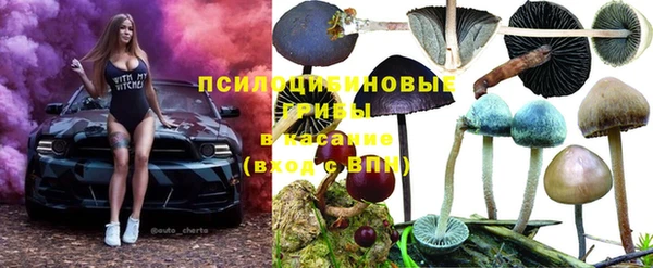 прущие крисы Нягань