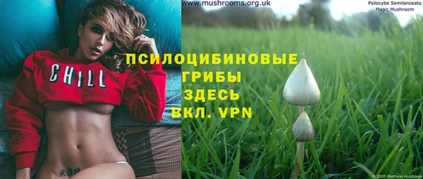 мяу мяу мука Нязепетровск