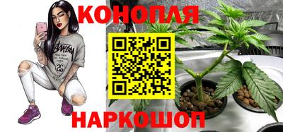 ГАЛЛЮЦИНОГЕННЫЕ ГРИБЫ Изобильный