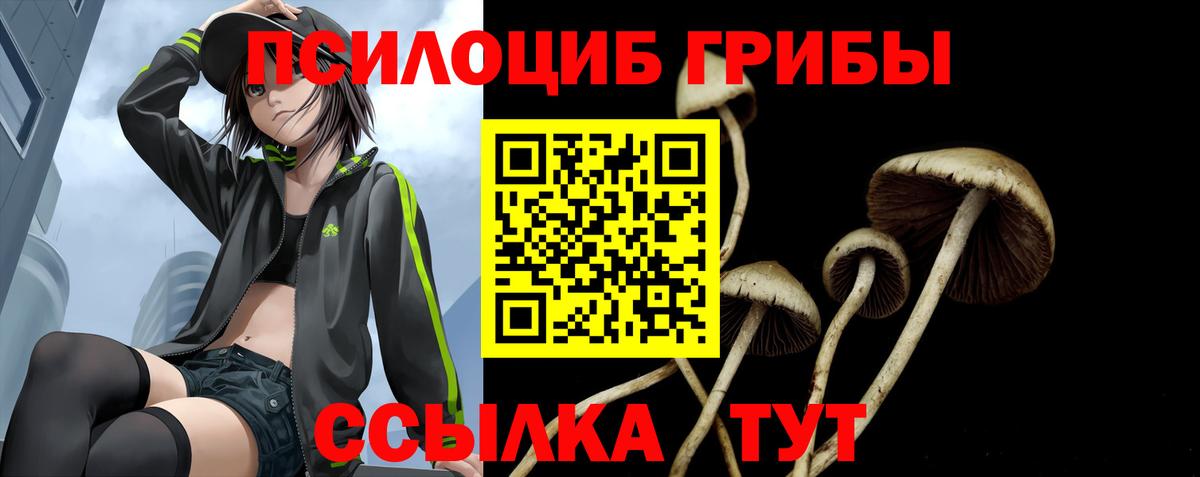 Переславль-Залесский  Галлюциногенные грибы MAGIC MUSHROOMS  Вход с VPN 