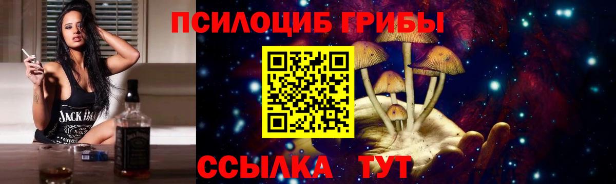 Псилоцибиновые грибы Psilocybe Переславль-Залесский